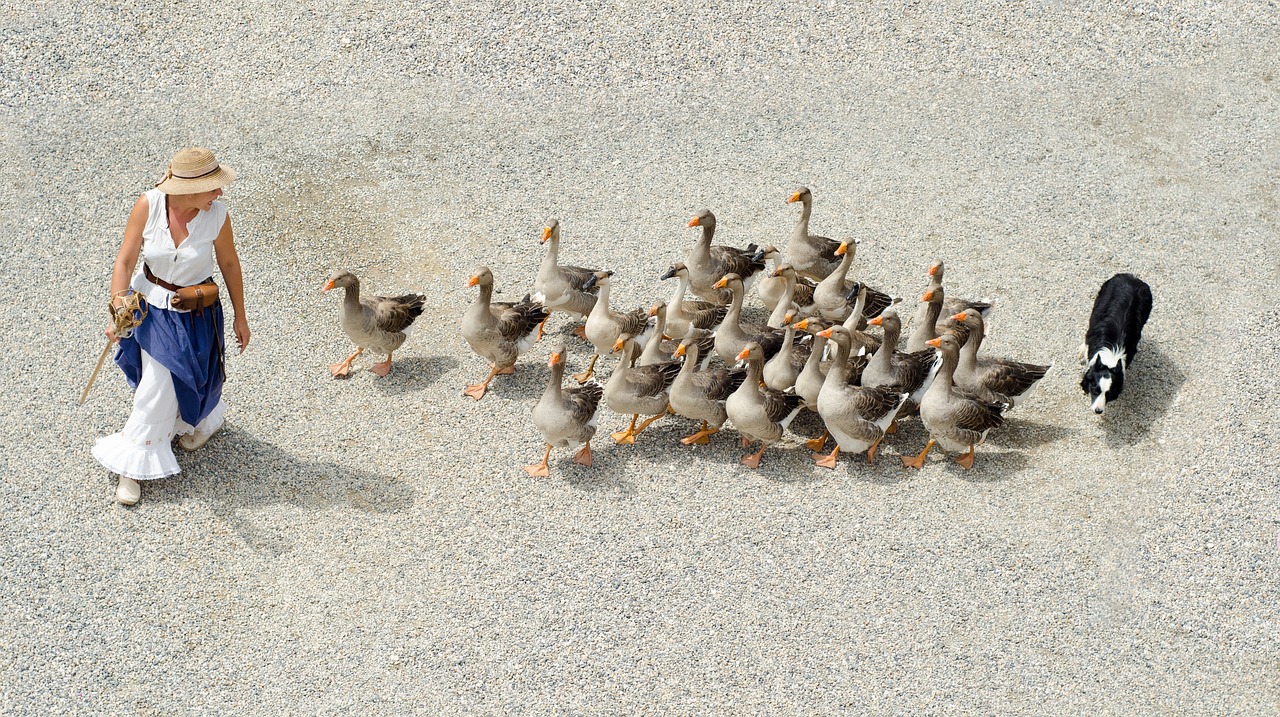 A New Perspective on Safety – The Influence of Human Behavior